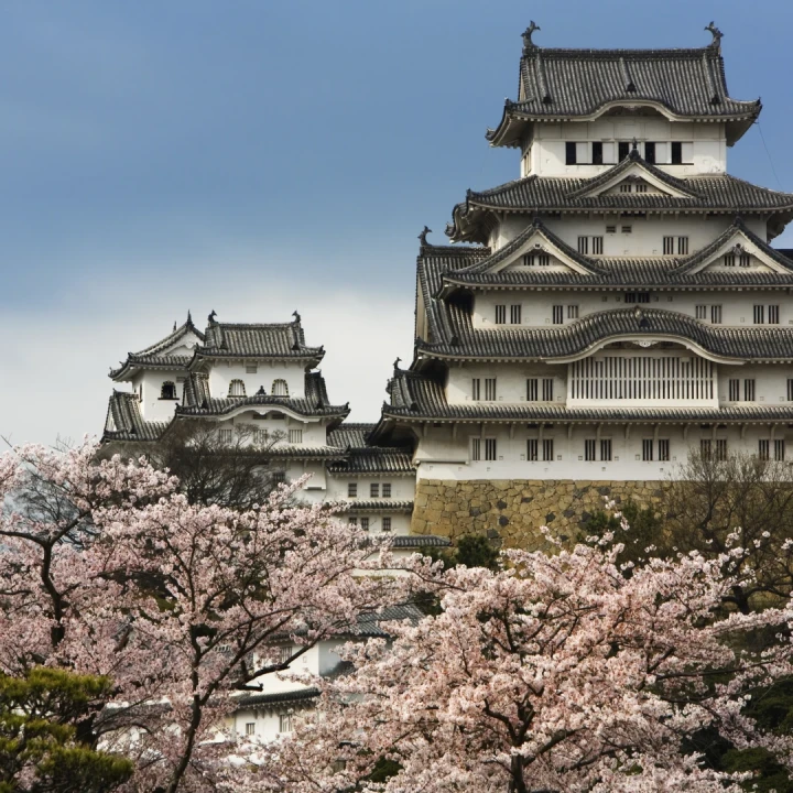 Japonia Cireșilor Înfloriți, Tur Relax